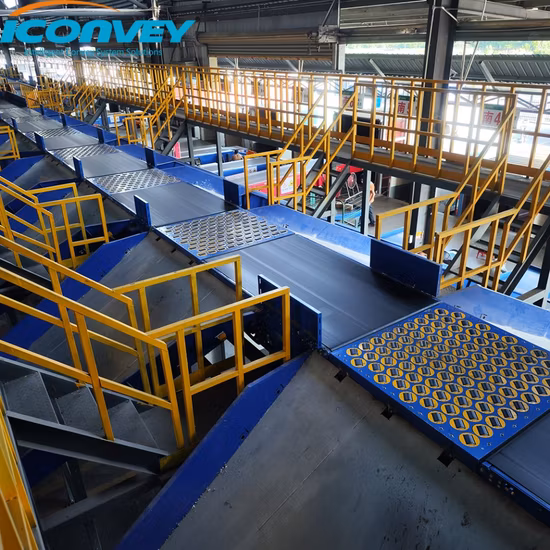 Iconvey Intelligent Sorting System Product Fabbrica di selezionatori di bilancieri